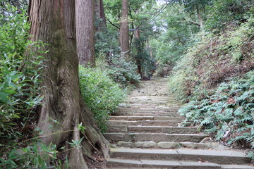 日向薬師に向かう山間の参道