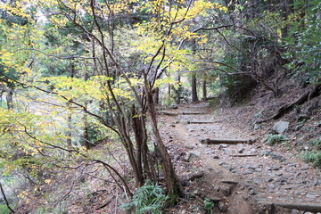日向渓谷から大山に向かう登山道(九十九曲ハイキングコース)