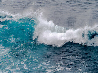 Naklejka premium Cresting Wave