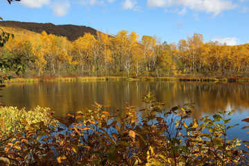 Fototapeta premium Trekking around volcanoes of Kamchatka in fall season. Northern pristine nature.