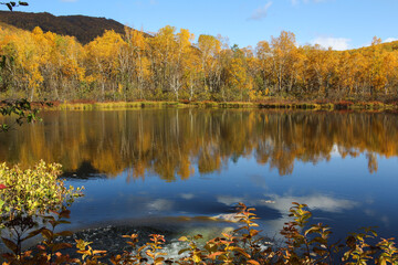 Trekking around volcanoes of Kamchatka in fall season. Northern pristine nature.