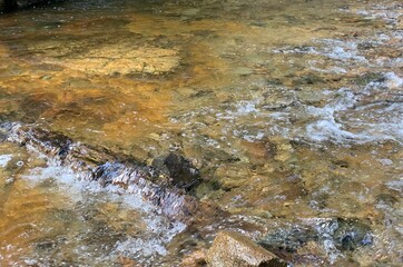 Running clear water in the forest. The creek is so clear that you can see things under the water. 