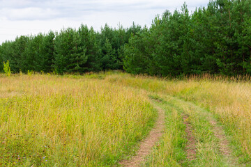 Fototapeta na wymiar Concept of turning way, rural road near the pine tree forest at summertime, calm grassland