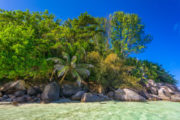 A shoreline of Ile Moyenne island in the Ste Anne Marine National Park off the north coast of Mahé, Seychelles