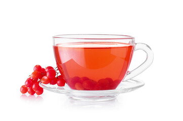 Cup of healthy viburnum tea on white background