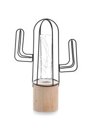 Stylish cactus with garland on white background