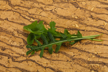 Green fresh Rocket leaves