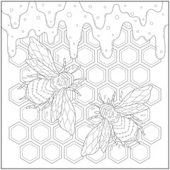 Beautiful honey bee in the beeswax and flowing honey. Learning and education coloring page illustration for adults and children. Outline style, black and white drawing.