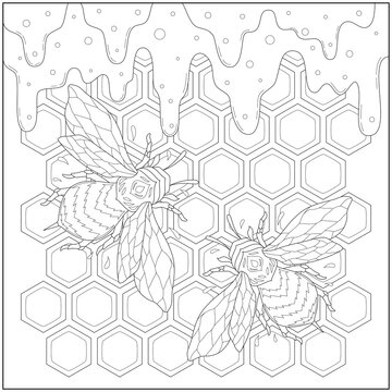 Beautiful honey bee in the beeswax and flowing honey. Learning and education coloring page illustration for adults and children. Outline style, black and white drawing.