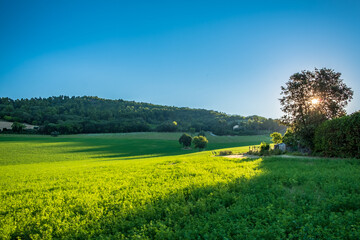 Beautiful sunrise in the countryside of Marche in a summer morning