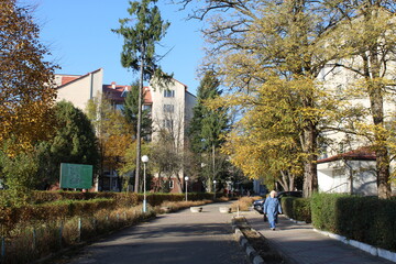 Street in the city of Morshin