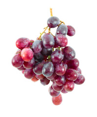 Red grape fruit on white background