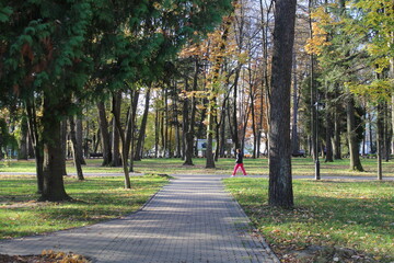 Walking in the park