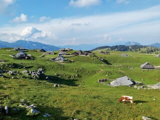 Village in Velika Planina Slovenia