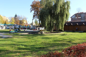 Autumn in the city of Morshin