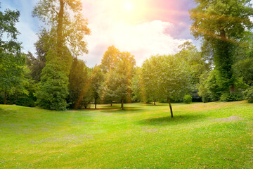 Bright sunny day in park.