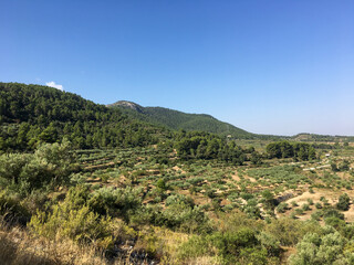 View of the natural environment of the Sierra de Mariola, in Alicante. Mediterranean pine forest. Green mountains under a blue sky.