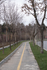 Bicycle path in the northern part of Bucharest. bicycle track leading to the pipera area of Bucharest