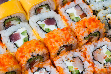 Large set of sushi rolls with shrimp, avocado, eel, chedar cheese, sesame seeds, caviar, tuna, nori, cucumber and cream cheese close-up