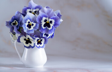Beautiful violet pansies  flowers  in white vase with white marble background.Still life.Greeting card with copy space.