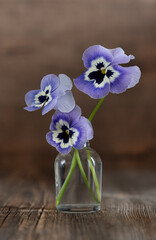 Beautiful pansies flowers in vase with wooden background.Selective focus.Still life.Rustic photography.