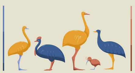 set of colorful ratite birds - nandu, emu, ostrich, kiwi, guinea fowl