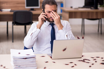 Young male employee and too many cockroaches in the office