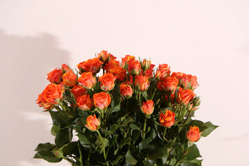 Bouquet of red roses on a white background. Designer bouquet for a wedding close-up.