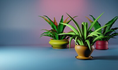Home plants in colored pots on a bright background. Place for your text. 3d illustration
