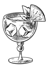 Hand drawing line art ink illustration of cocktail. Drink in wineglass. Retro style. For menu, poster, card, print