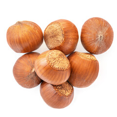Hazelnuts with a shell  isolated on white background. Hazelnut colection macro. Top view