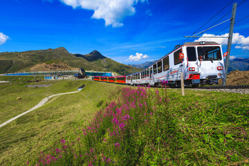 Fototapeta na wymiar Electric cogwheel tourist train on the steep railway, Grindelwald, Switzerland