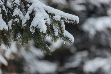 Beautiful Snowy peaks of Carpathians
