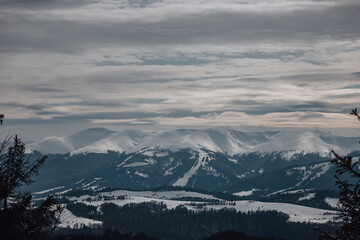 Fototapeta na wymiar Beautiful Snowy peaks of Carpathians