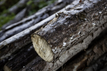 Chopped wooden logs