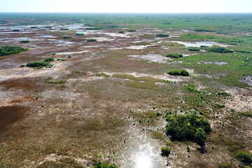 Swampy environment in south Florida