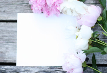White and pink pion flowers on wooden background. Summer concept. Floral background for web site, greeting card, banner, flower shop. Mock up with pions. Focus on flowers 