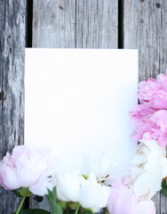 Obraz na płótnie Canvas White and pink pion flowers on wooden background. Summer concept. Floral background for web site, greeting card, banner, flower shop. Mock up with pions. Focus on flowers 