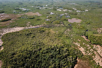Swampy environment in south Florida