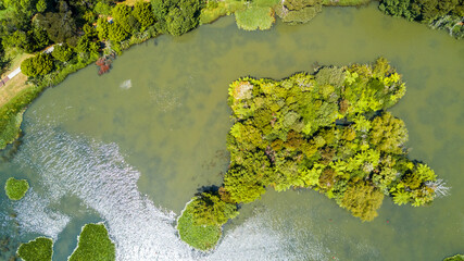 Aerial view of a beautiful pond. Coromandel, New Zealand.