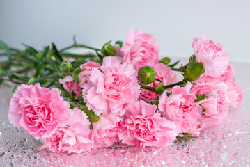 Bouquet of pink carnation flowers on a table with water drops