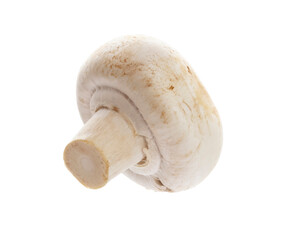 champignon isolated on a white background.