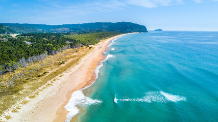 Aerial view of a sunny beach. Coromandel, New Zealand.