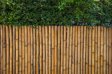 Bamboo fence and green tree. home decoration