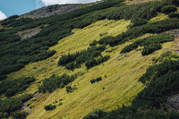 Obraz premium Carpathians, Gorgany massif, different weather