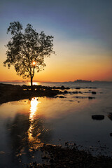 Silhouette tree against sunset at Krabi beach