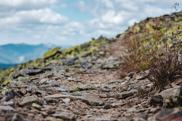 Carpathians, Gorgany massif, different weather
