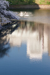 千鳥ヶ淵の水面に映りこむビルと空