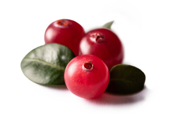 cranberry isolated on white background. macro photo. fresh berry