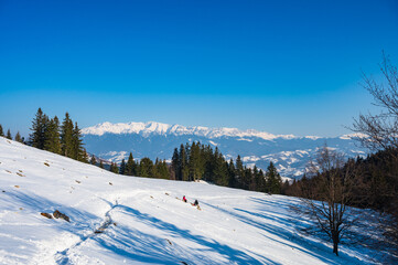 Fototapeta na wymiar Hikers resting on snowy alpine meadow with view over Bucegi mountain range in Romanian Carpathians